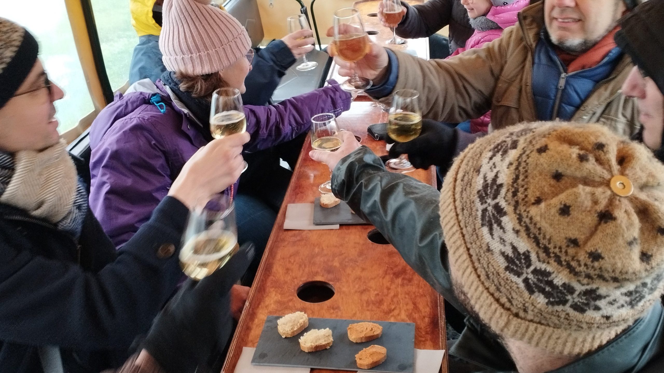 terre et tresors de touraine balade en calèche (8)